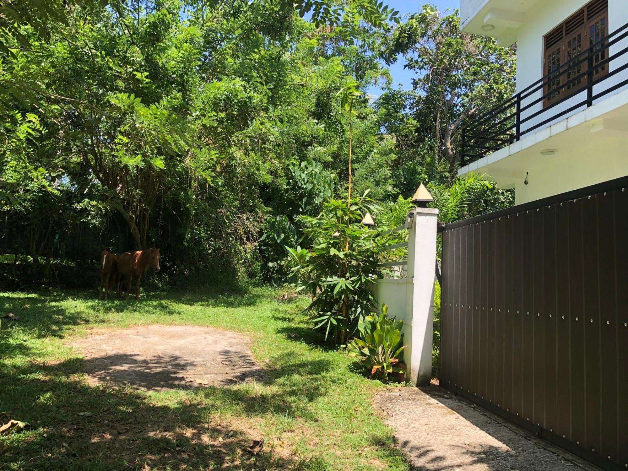 Lanka Villa Mirissa Exterior photo